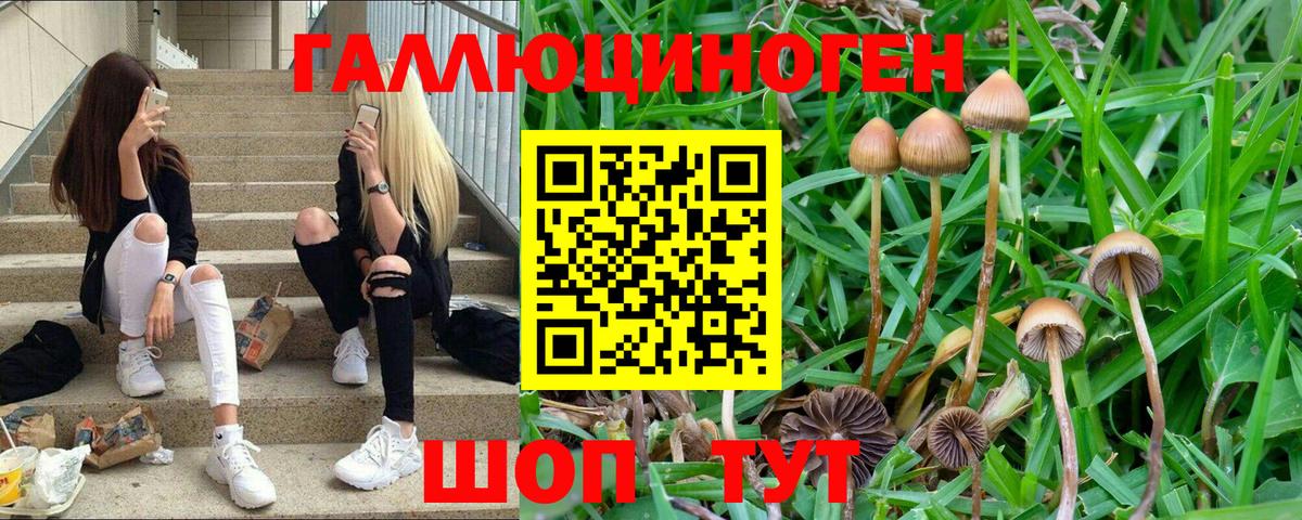 магазин  наркотиков  Галлюциногенные грибы мицелий  Вход с VPN  Гай 
