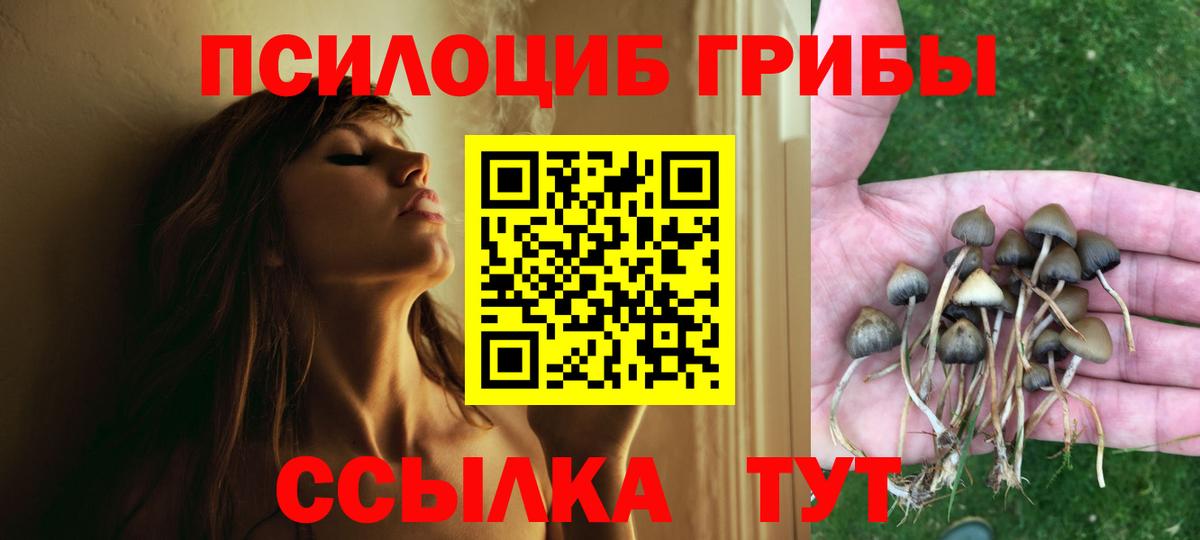 Галлюциногенные грибы Cubensis Гай