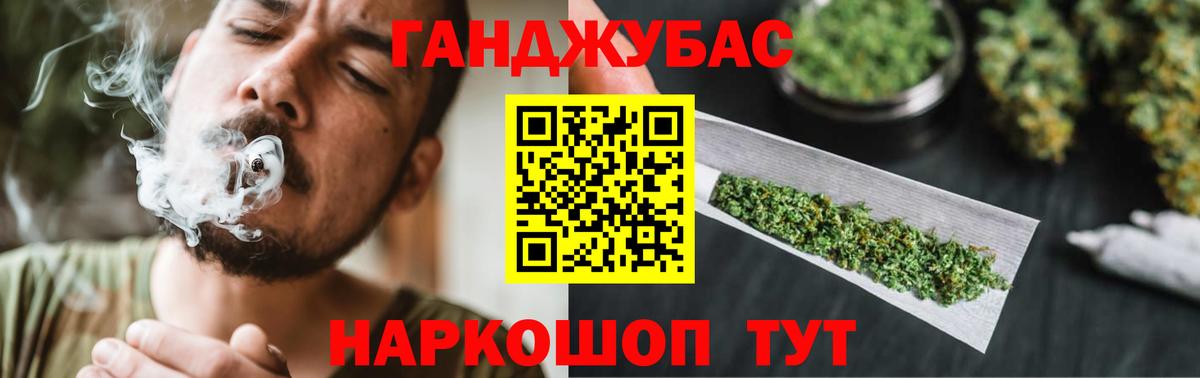 Канабис планчик Гай